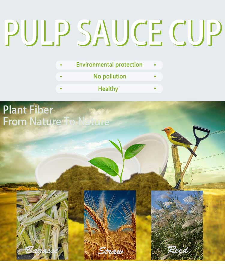 Biodegradable bagasse disposable sauce cup