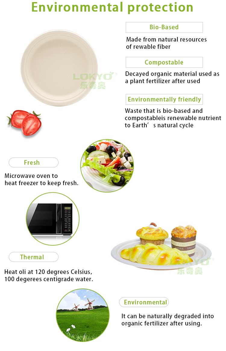 Disposable tableware dinnerware