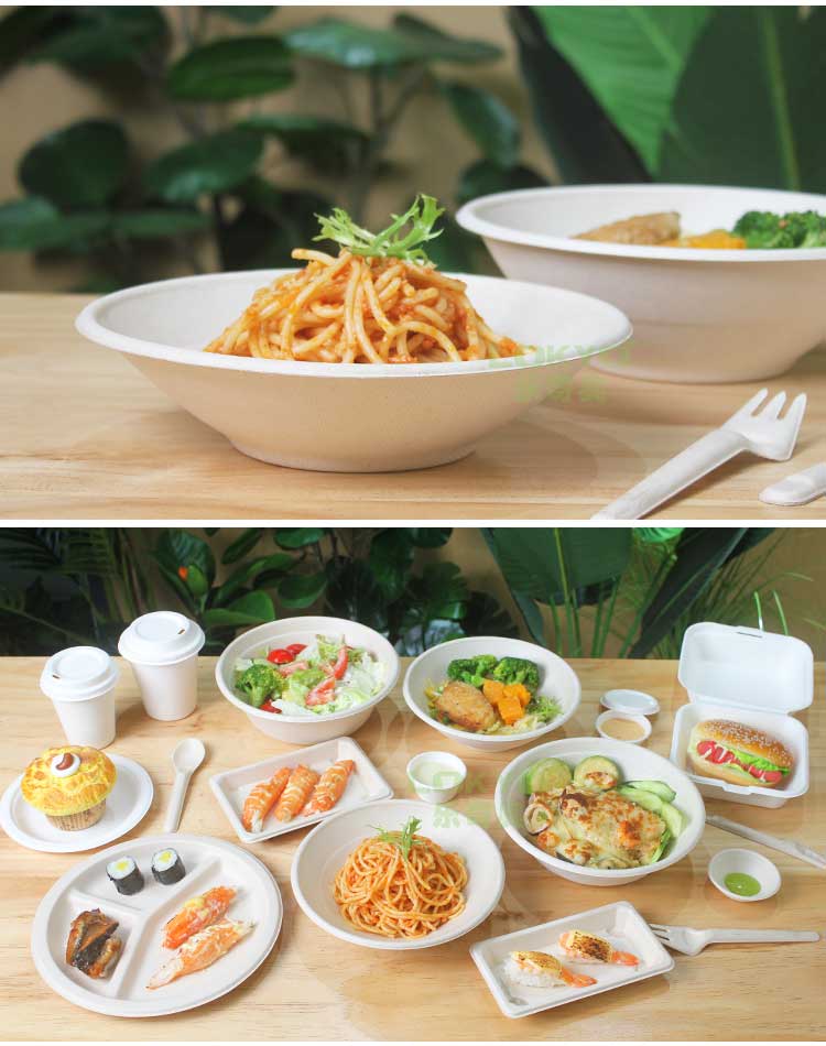 Pulp salad container Pulp salad container