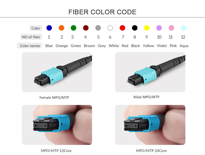 MPO/MTP-MTP/MTP OM4 Trunk Cable