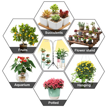 Fruit grow LED plant grow lamp Fruit grow LED plant grow lamp