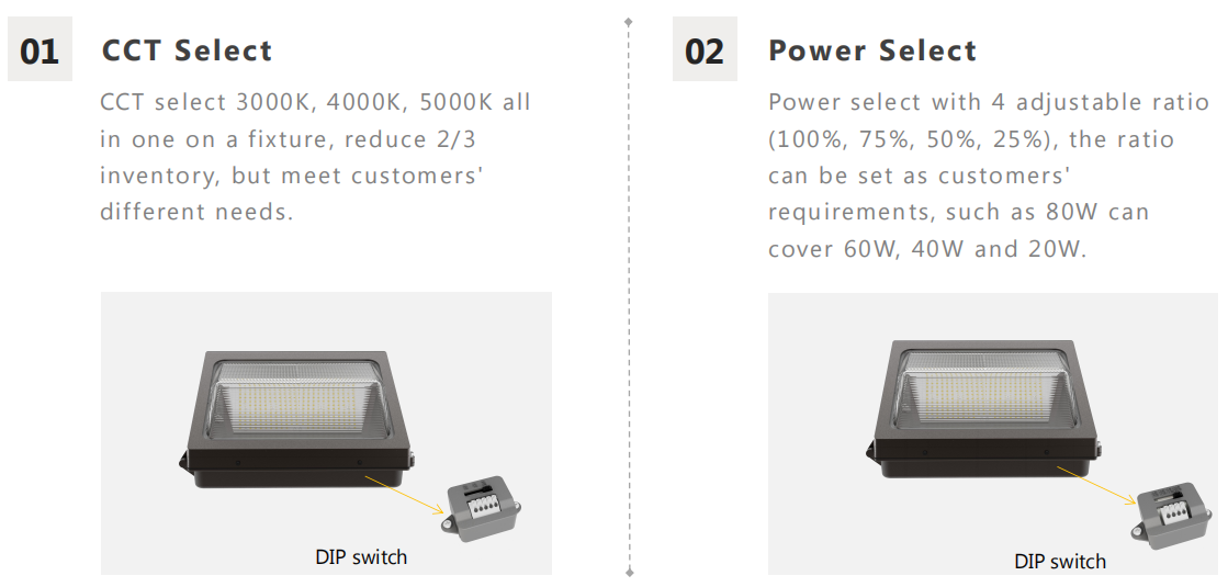 DIP switch standard wall pack light