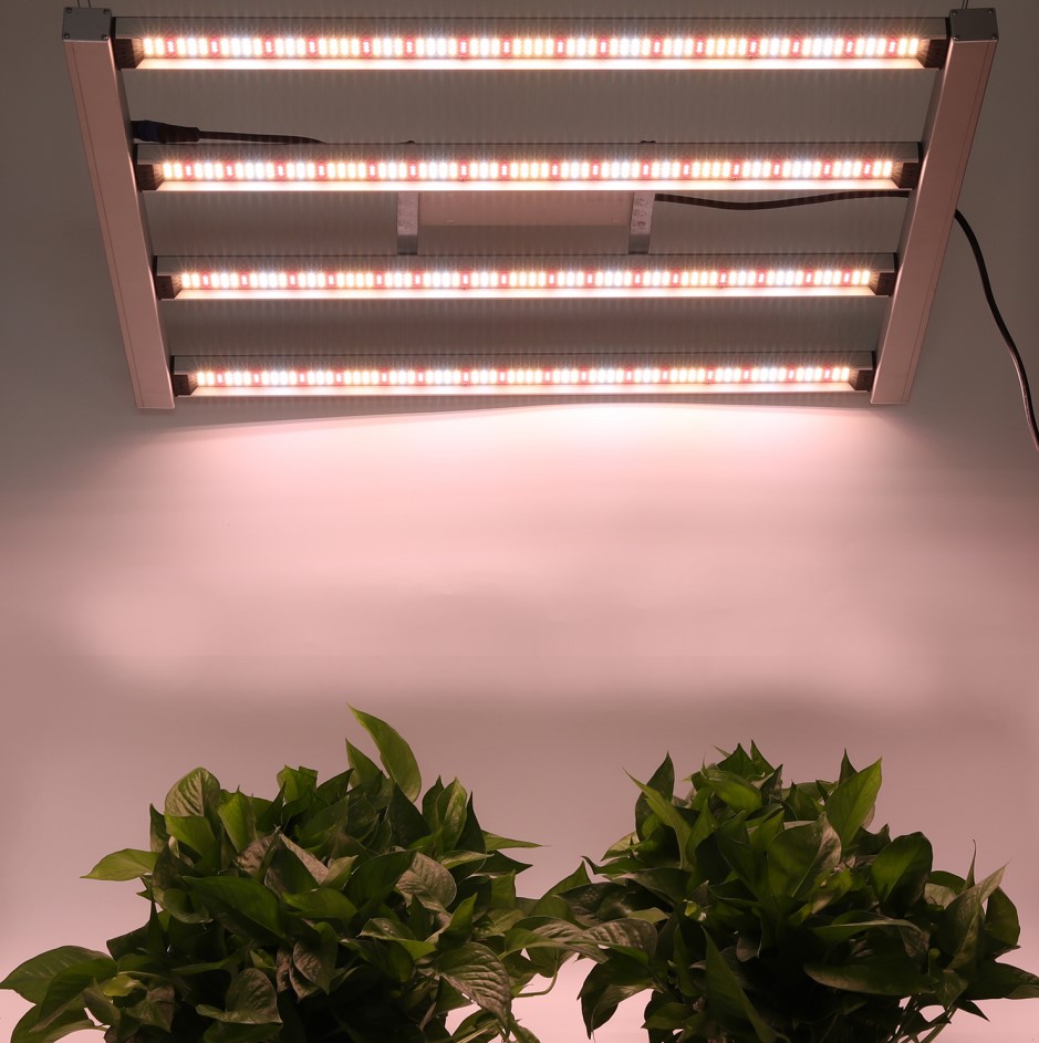 indoor led grow light