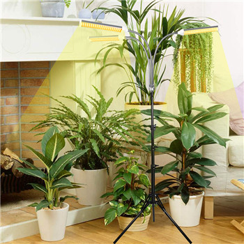 Tripod plant light used at home