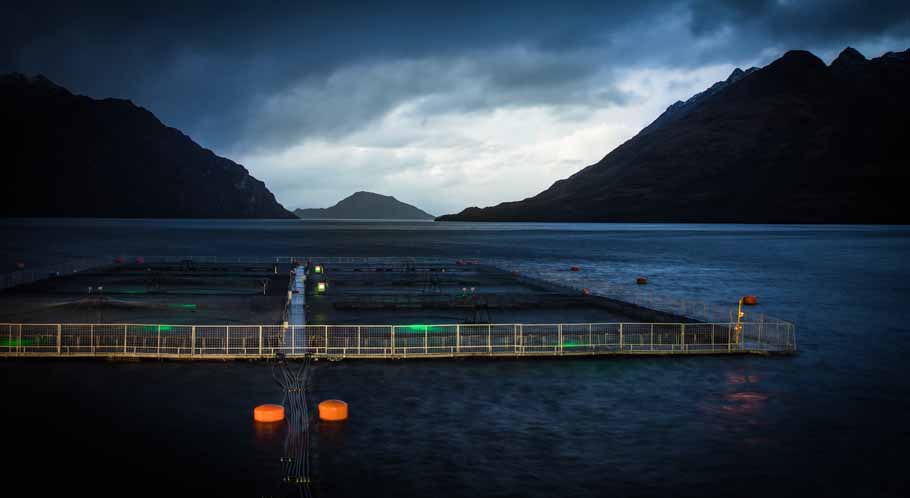 Intelligent Lighting Control System Intelligent Lighting Control System