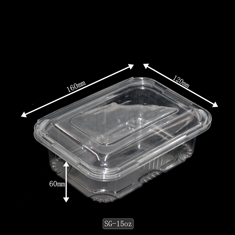 Small Clear Plastic Hinged Food Container