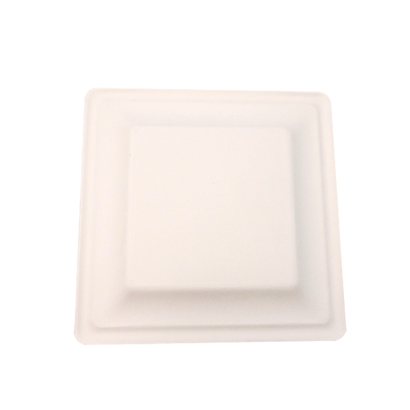Square Paper Biodegradable Plates