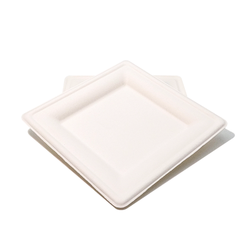 Square Paper Biodegradable Plates