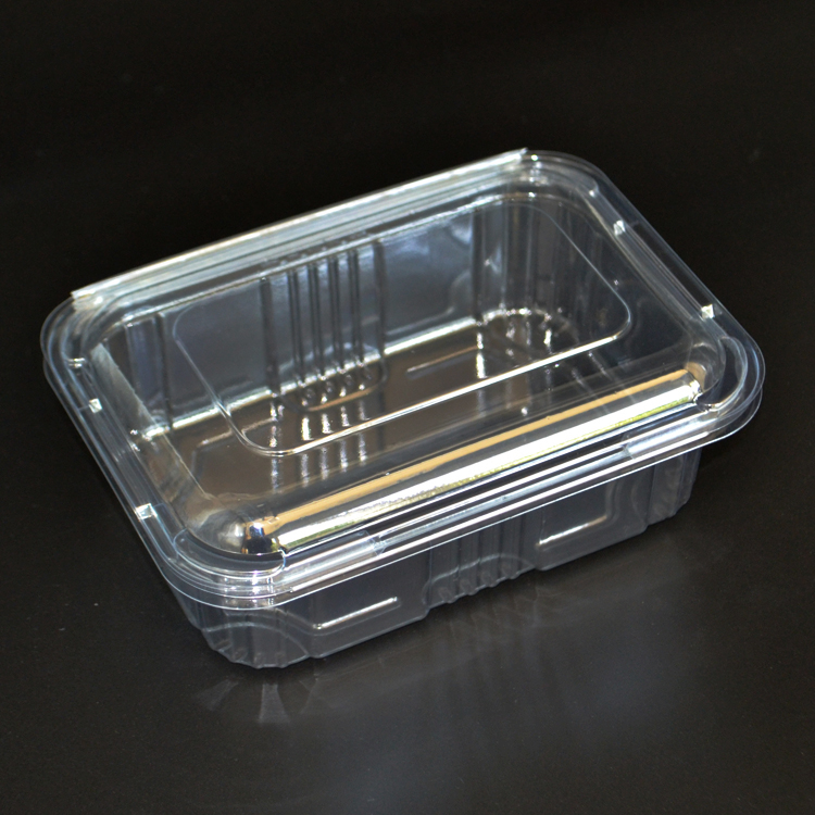 Plastic Clamshell food Container