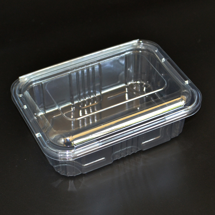 Small Clear Plastic Hinged Food Container