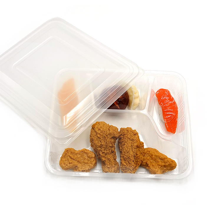 Single Layer Lunch Box