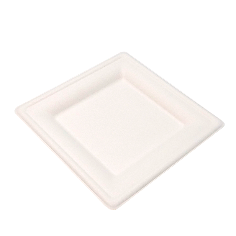 Square Paper Biodegradable Plates