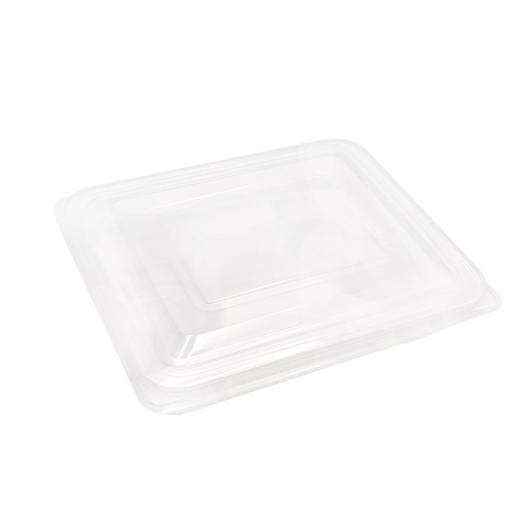 Disposable Plastic Takeaway Containers