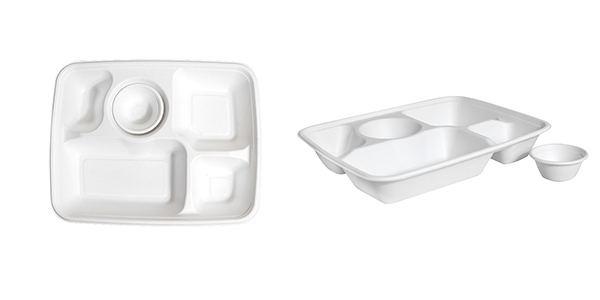 bagasse tray