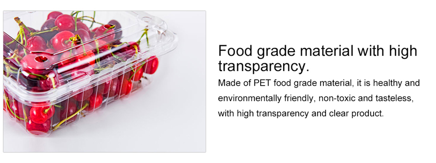 Plastic container fruit Plastic container fruit