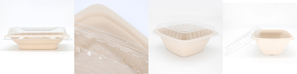 bagasse salad bowl