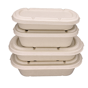 bagasse bento box