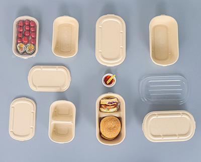 bagasse bento box