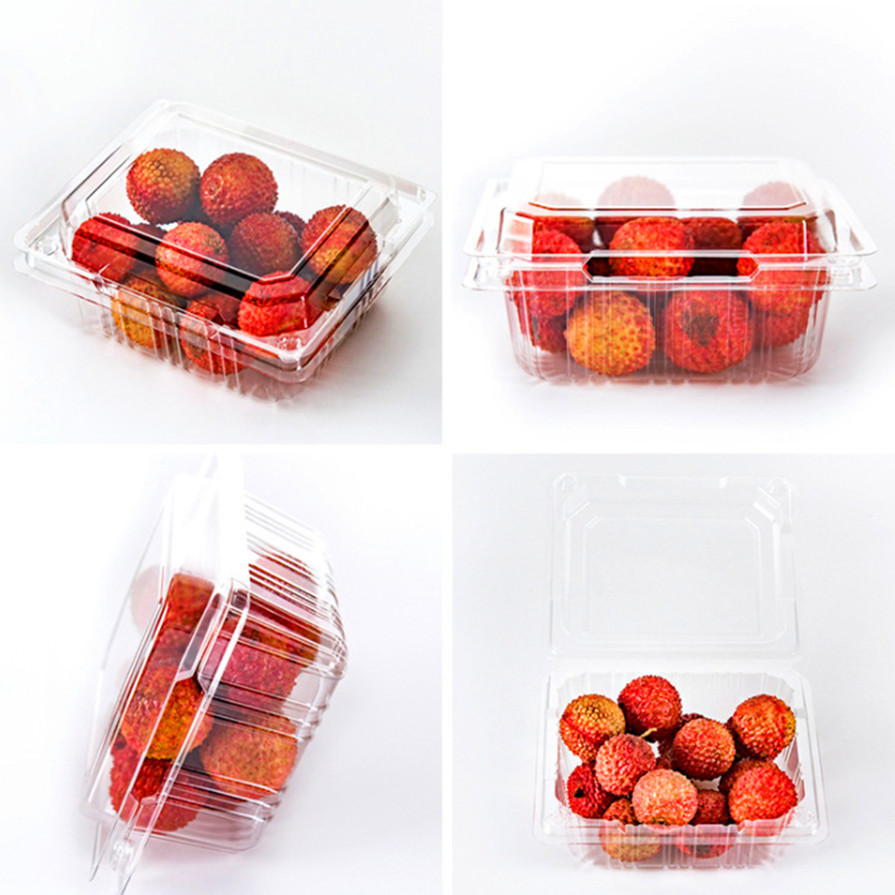 Plastic berry containers Plastic berry containers