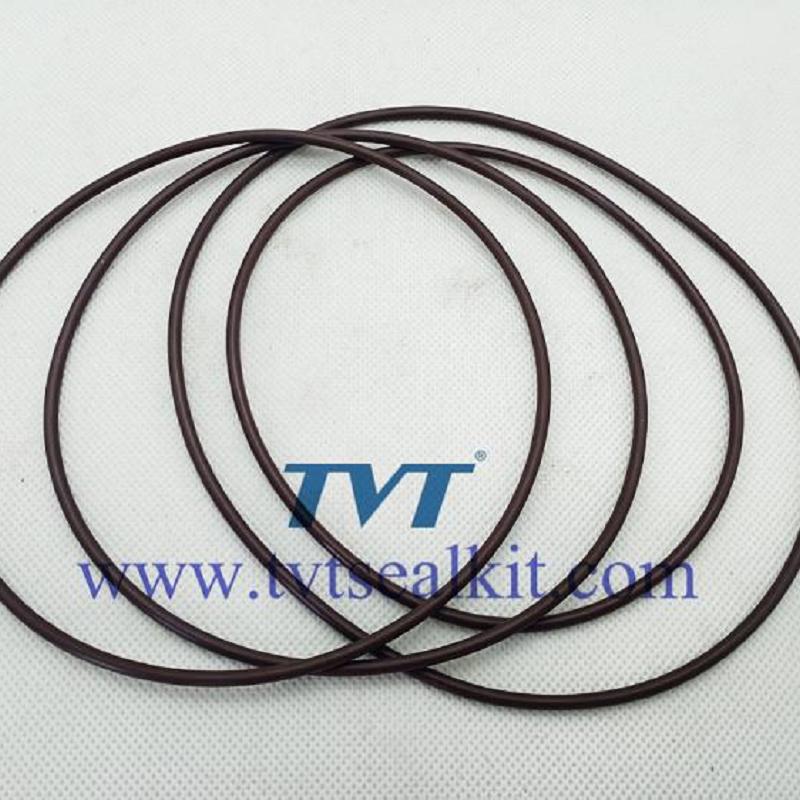 Swing motor seal kit