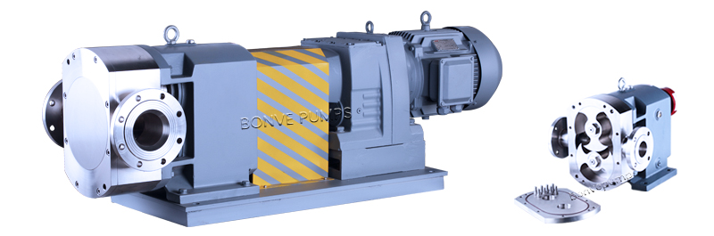 Horizontal Port Pump