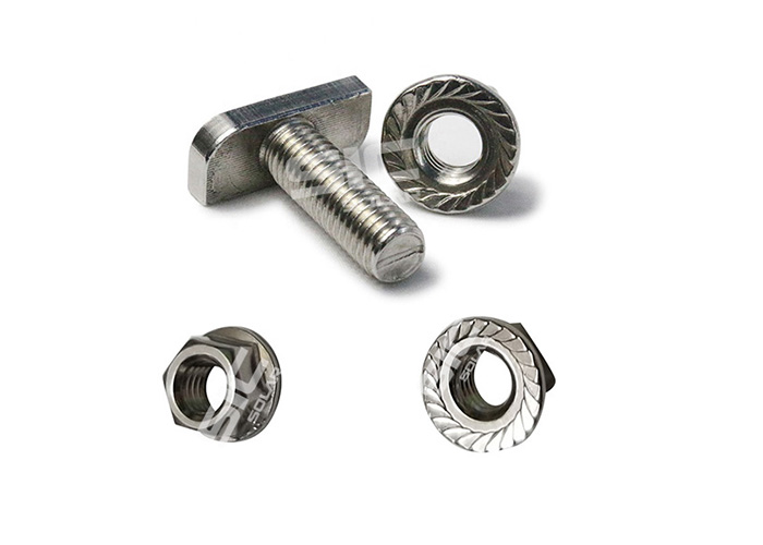 304 Stainless Steel T-Bolt 304 Stainless Steel T-Bolt