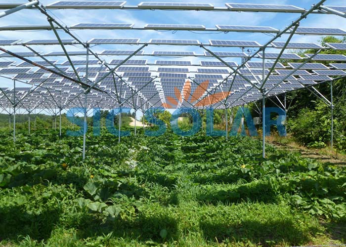 Green house solar mounting system Green house solar mounting system