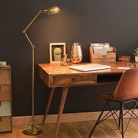 Adjustable arm floor lamp