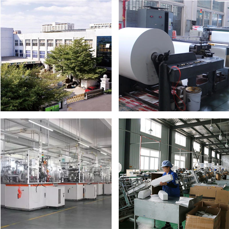 Company and Factory Company and Factory