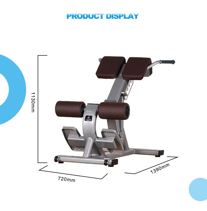 Back Extension-Roman chair