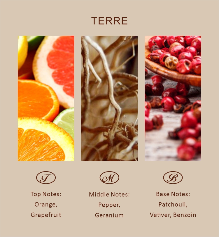 fragrance oil fragrance oil