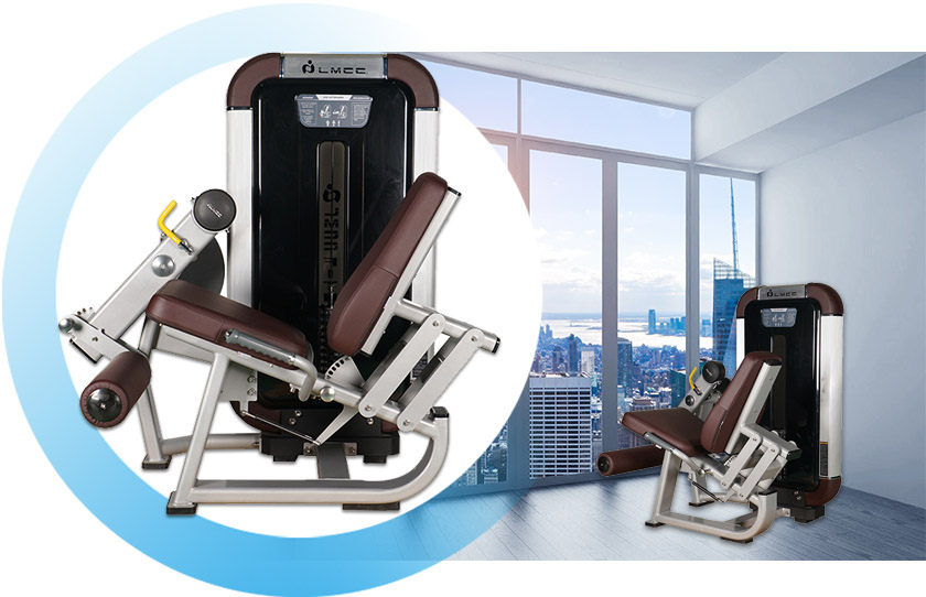 seates leg extension machine seates leg extension machine