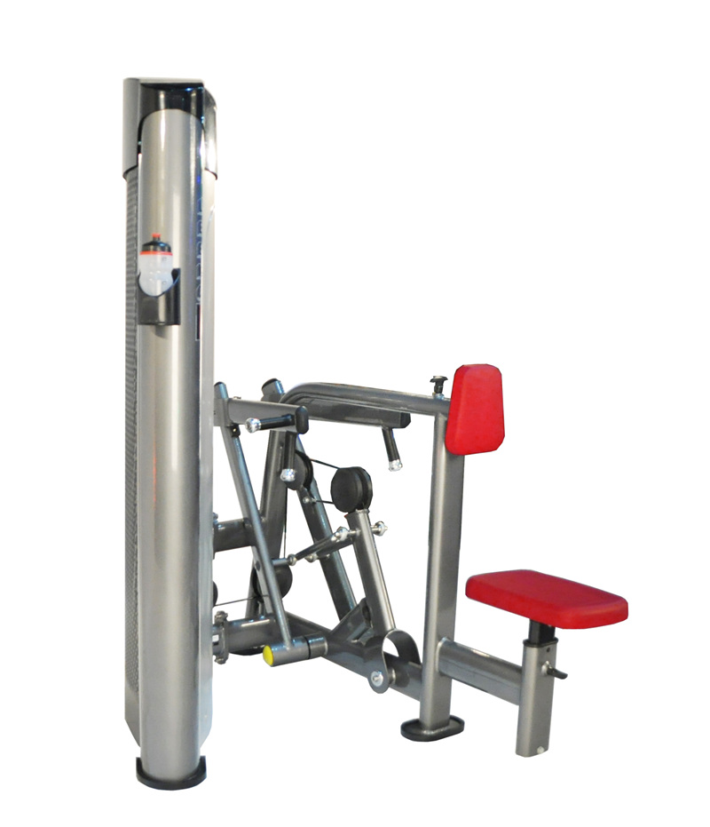 Deltoid Bodybuilding Deltoid Bodybuilding
