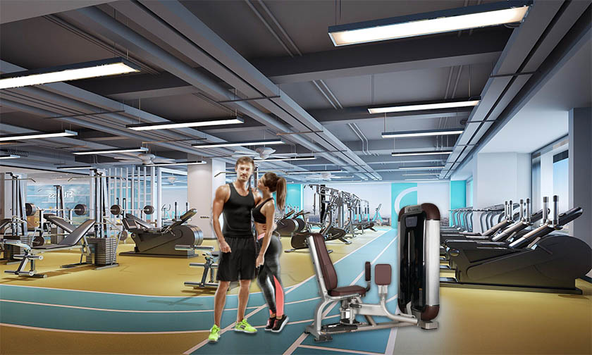 dual hip machine dual hip machine