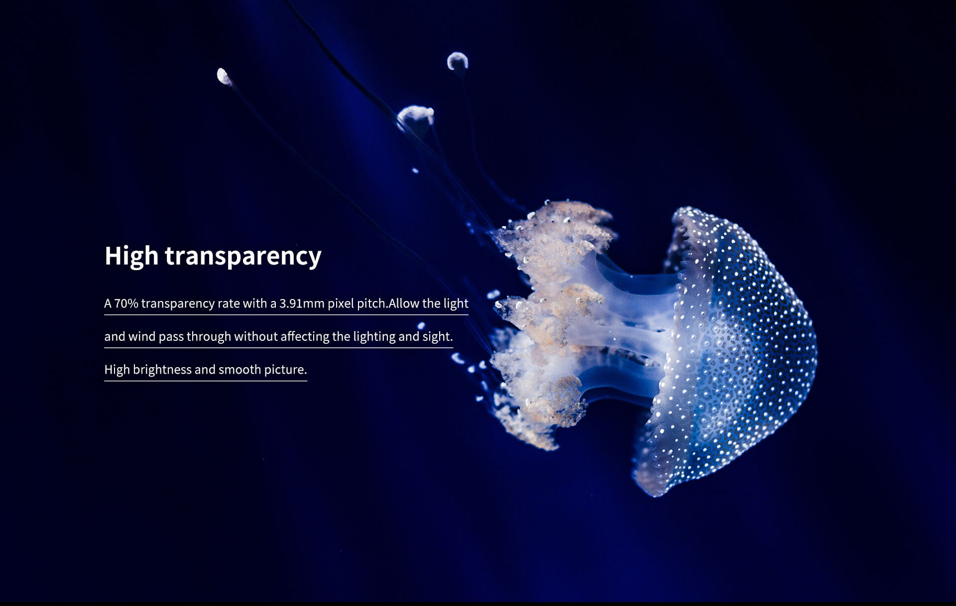 transparent led screen transparent led screen