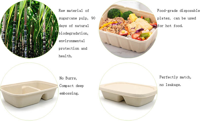 sugarcane pulp lunch box sugarcane pulp lunch box