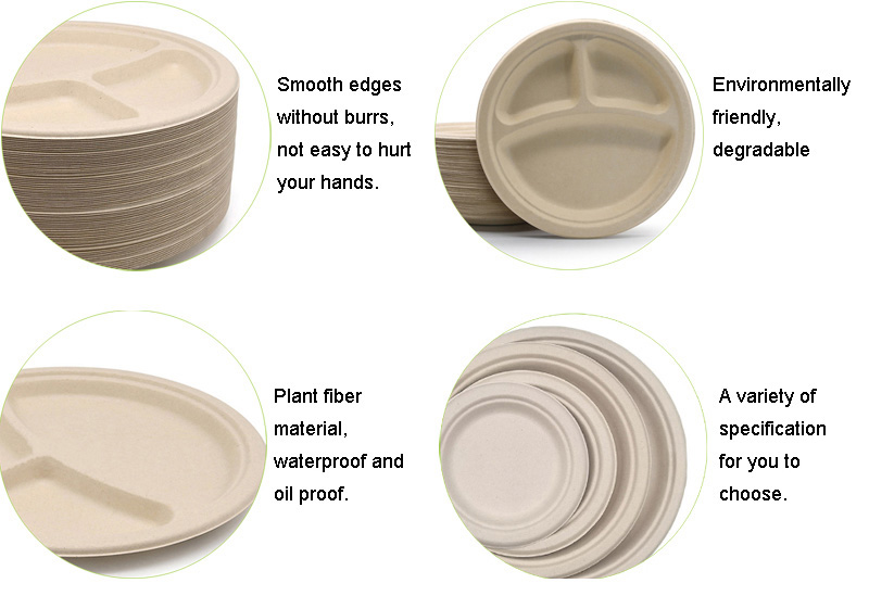 Dinner Plates Dinner Plates