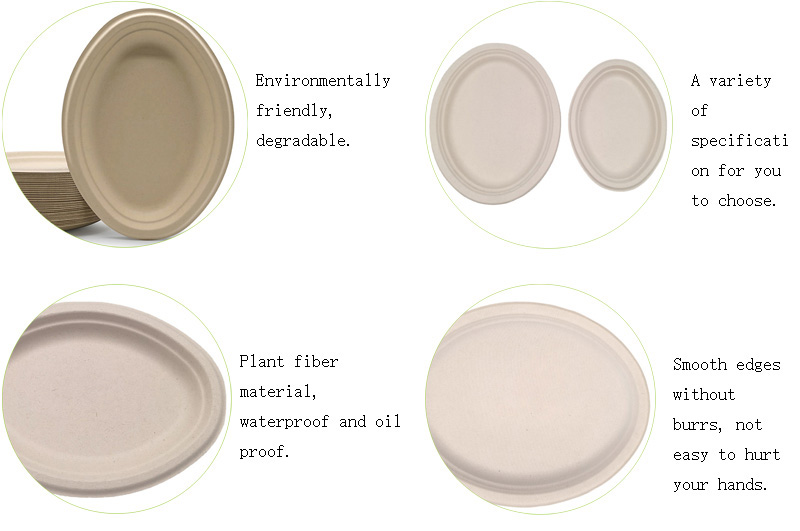 Oval Sugarcane Pulp Plates Oval Sugarcane Pulp Plates