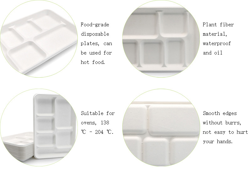 sugarcane pulp meal box sugarcane pulp meal box