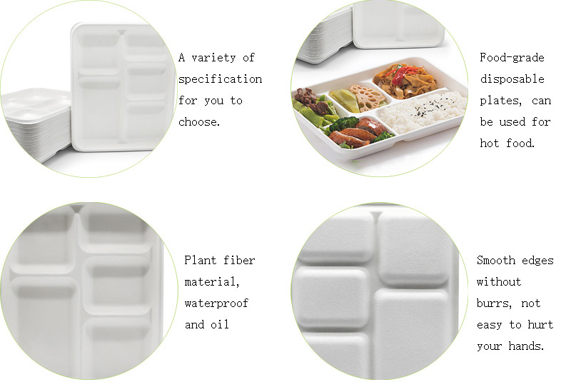 5 Compartment Dinner Plates 5 Compartment Dinner Plates