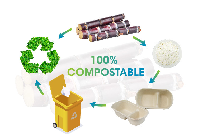 sugarcane pulp packaging