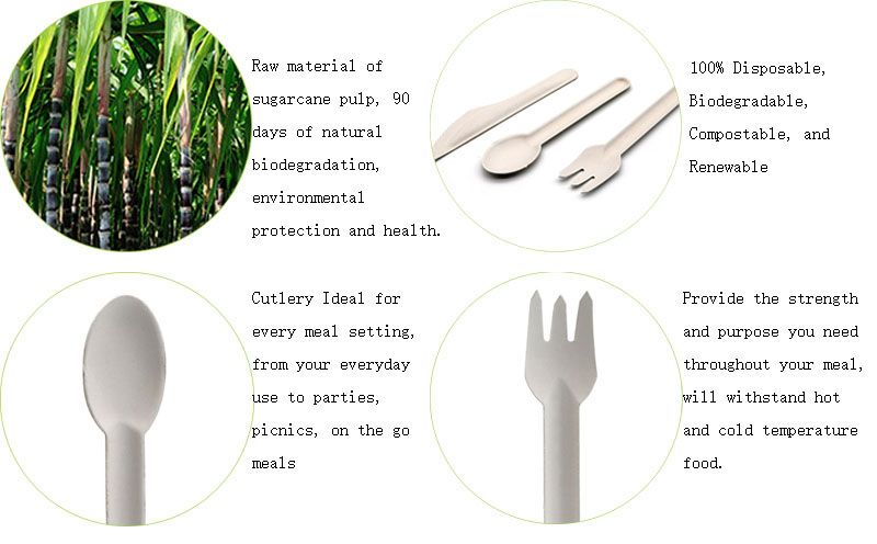 Disposable Sugarcane Bagasse Cutlery Set