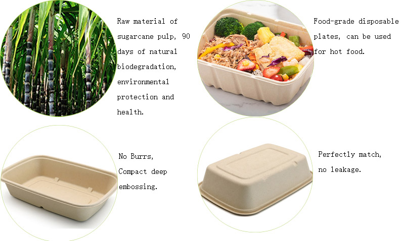 sugarcane pulp lunch box