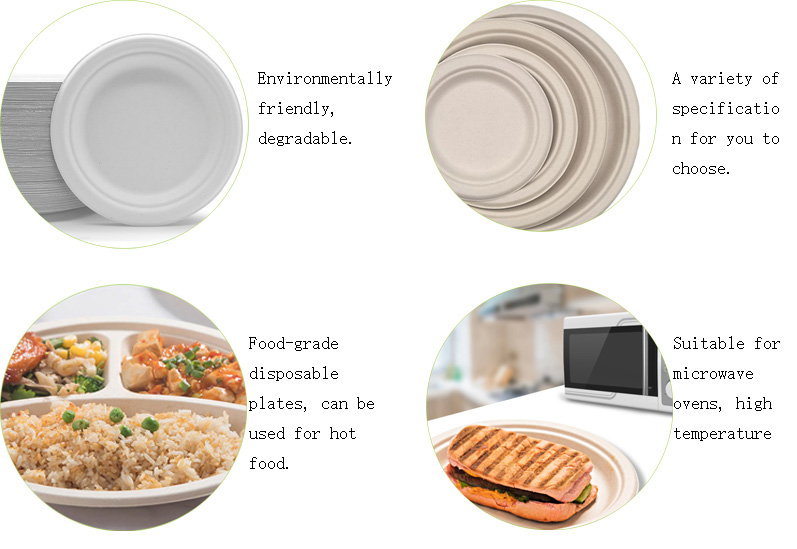 Compostable Dinner Plates 
