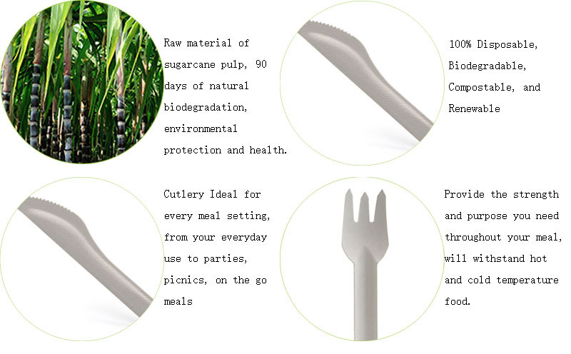 Disposable Sugarcane Bagasse Cutlery Set