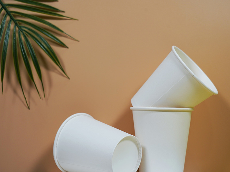 12oz PE Coated Paper Cup