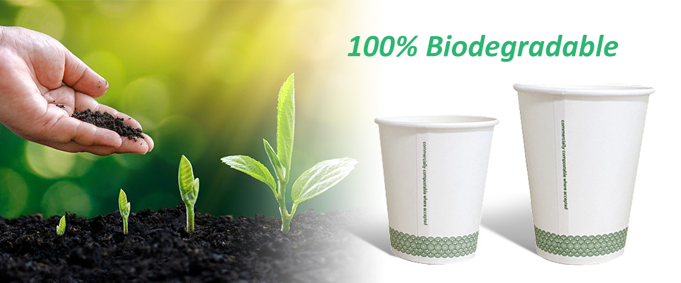 PLA paper coffee cup