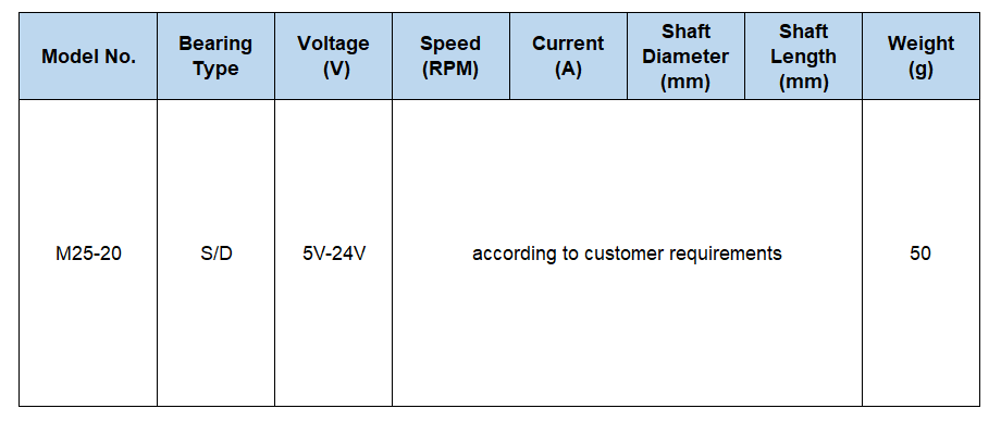 Custom Electric Brushless DC Motor Custom Electric Brushless DC Motor