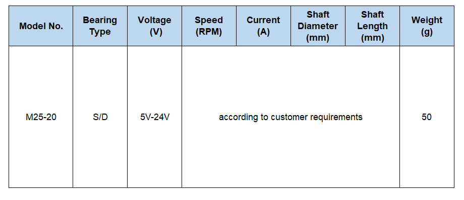 Custom Electric Brushless DC Motor