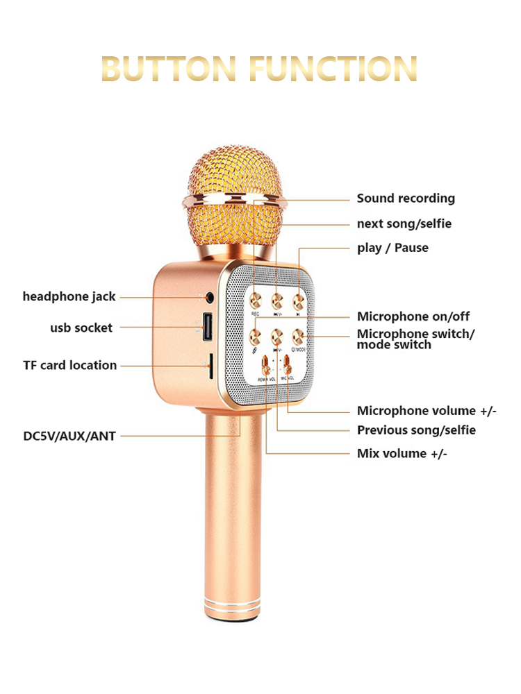 multifunction wireless microphone